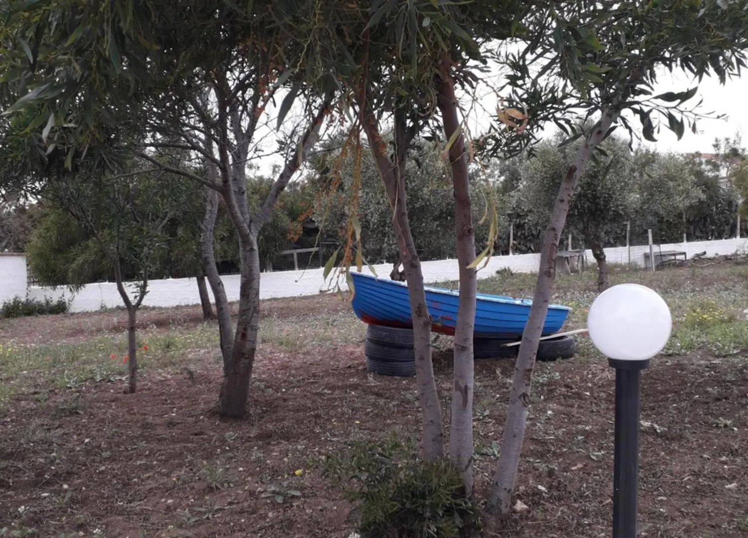Hotel Tanoelvira Reitani Affittacamere